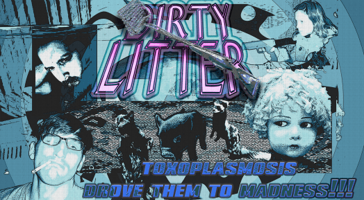 dirty litterr